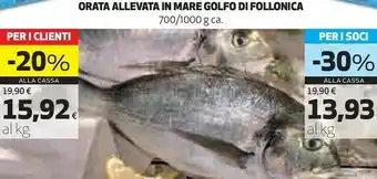 Ipercoop Orata allevata in mare golfo di follonica offerta