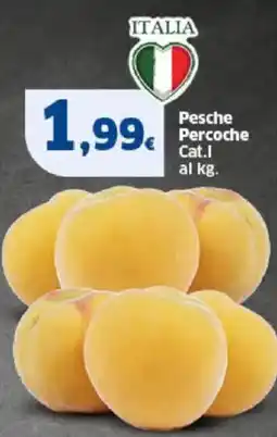 Sigma Pesche Percoche offerta
