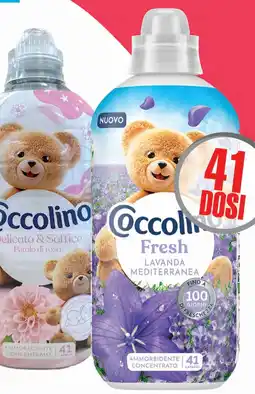 Splendidi e Splendenti Coccolino ammorbidente varie profumazioni 41 dosi offerta