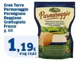 Sigma Gran Terre Parmareggio Parmigiano Reggiano Grattugiato Fresco offerta