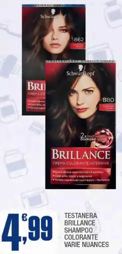 Splendidi e Splendenti Testanera brillance shampoo colorante varie nuances offerta