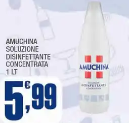Splendidi e Splendenti Amuchina soluzione disinfettante concentrata offerta
