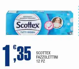 Splendidi e Splendenti Scottex fazzolettini 12 pz offerta