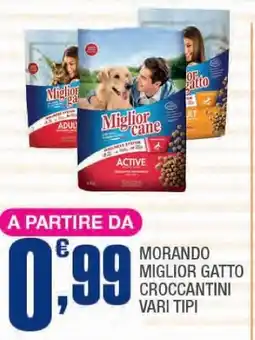 Splendidi e Splendenti Morando miglior gatto croccantini vari tipi offerta