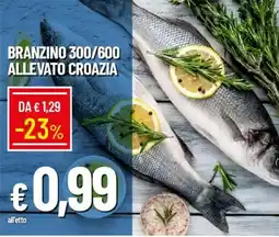 Galassia Branzino 300/600 allevato croazia offerta