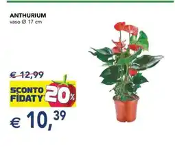 Esselunga ANTHURIUM offerta