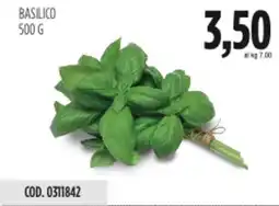Carico Cash & Carry Basilico offerta