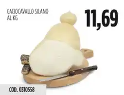 Carico Cash & Carry Caciocavallo silano offerta