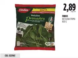 Carico Cash & Carry Findus bietolina prima offerta