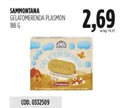 Carico Cash & Carry Sammontana gelatomerenda plasmon offerta