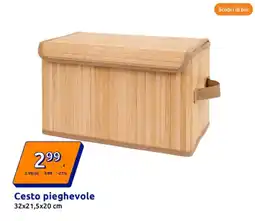 Action Cesto pieghevole offerta