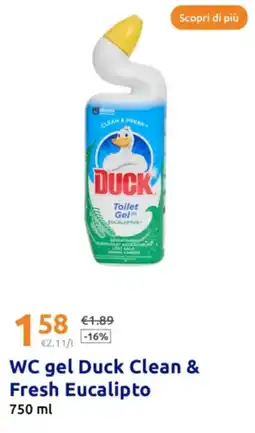 Action WC gel Duck Clean & Fresh Eucalipto offerta