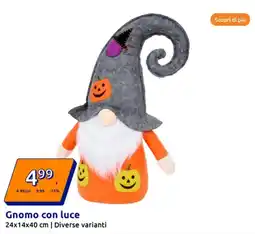 Action Gnomo con luce diversi varianti offerta
