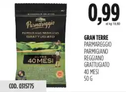 Carico Cash & Carry Gran terre parmareggio parmigiano reggiano grattugiato 40 mesi offerta