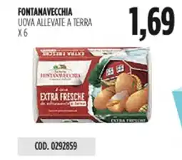 Carico Cash & Carry Fontanavecchia uova allevate a terra x6 offerta