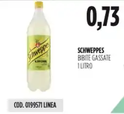Carico Cash & Carry Schweppes bibite gassate offerta
