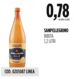 Carico Cash & Carry Sanpellegrino bibita offerta