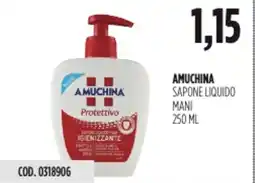 Carico Cash & Carry Amuchina sapone liquido mani offerta