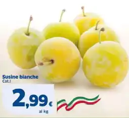 Sigma Susine bianche offerta