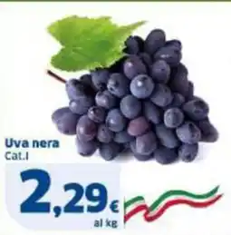 Sigma Uva nera offerta