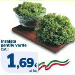 Sigma Insalata gentile verde offerta