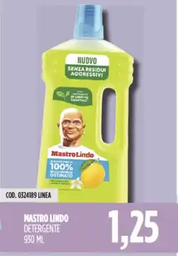 Carico Cash & Carry Mastro lindo detergente offerta