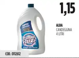 Carico Cash & Carry Alba candeggina offerta