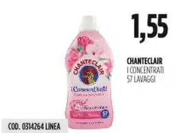 Carico Cash & Carry Chanteclair i concentrati 57 lavaggi offerta