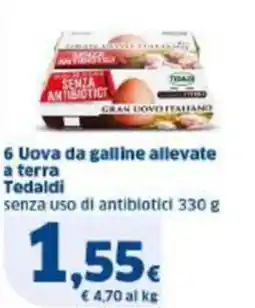 Sigma 6 Uova da galline allevate a terra Tedaldi offerta