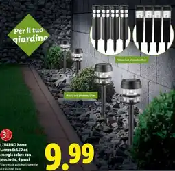 Lidl LIVARNO home Lampada LED ad energia solare con picchetto, 4 pezzi offerta