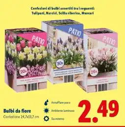 Lidl Bulbi da fiore offerta
