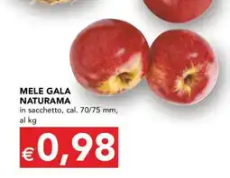 Esselunga MELE GALA NATURAMA offerta