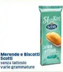 Sigma Merende e Biscotti Scotti offerta