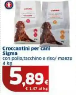 Sigma Croccantini per cani Sigma offerta