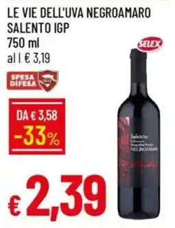 Galassia Le vie dell'uva negroamaro salento igp offerta