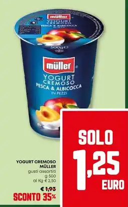 Pam Yogurt cremoso MÜLLER offerta
