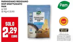 Pam Parmigiano reggiano DOP grattugiato PAM offerta