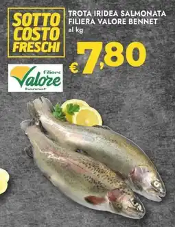 Bennet Trota iridea salmonata filiera VALORE BENNET offerta