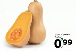 Extra Supermercati Zucca lunga al kg offerta
