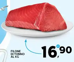 Extra Supermercati Filone di tonno al kg offerta