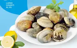 Extra Supermercati Lupini giganti al kg offerta