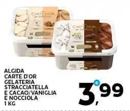 Extra Supermercati Algida carte d'or gelateria stracciatella e cacao/vaniglia e nocciola offerta