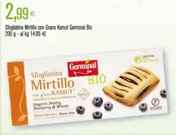 Coop Sfogliatina Mirtillo con Grano Kamut Germinal Bio offerta