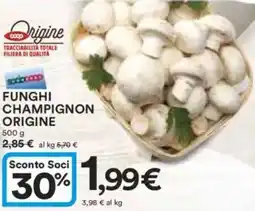 Ipercoop Funghi champignon origine offerta