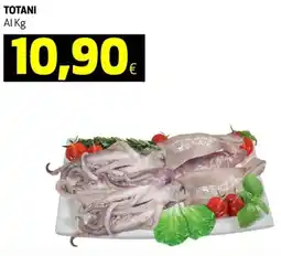 Ipercoop Totani al kg offerta