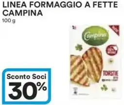 Ipercoop Linea formaggio a fette campina offerta