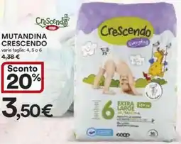 Ipercoop Mutandina CRESCENDO offerta