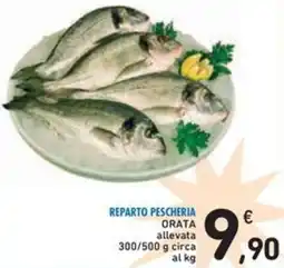 Spazio Conad Reparto pescheria orata allevata offerta