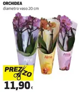 Coop Orchidea offerta