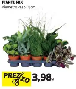 Coop Piante mix offerta